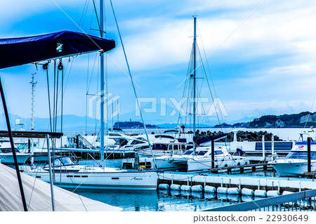Zushi Marina和富士山 22930649