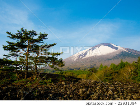 被燒毀的熔岩流和岩手火山 被燒毀的熔岩流和岩手火山 22931384