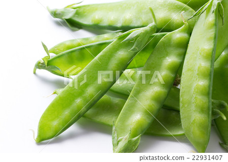 Silk sheath 2 Silk sheath 2 22931407