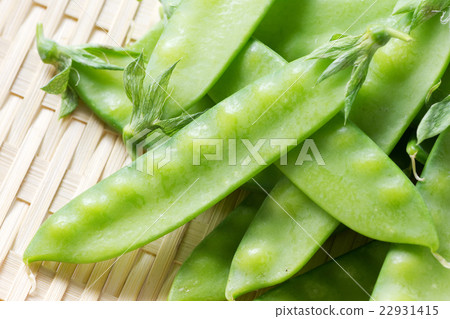 Silk sheath 9 Silk sheath 9 22931415