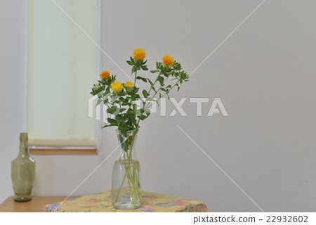 Slow flowers at the window side Slow flowers at the window side 22932602