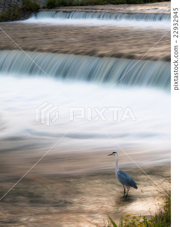 Kyoto Kamogawa Her Slow Shutter Kyoto Kamogawa Her Slow Shutter 22932945