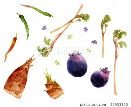 Kyoto Kyoto 22933160