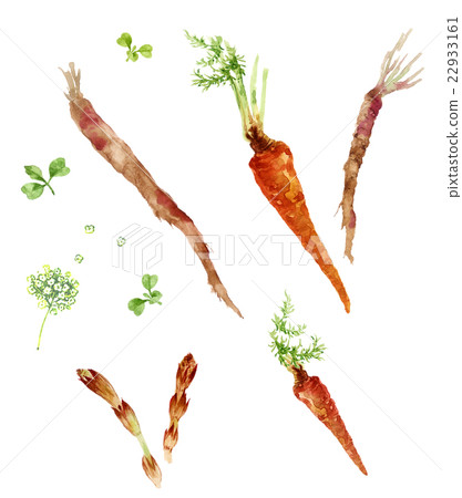 Kyoto Kyoto 22933161