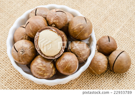 macadamia nuts in white bowl. 22933789
