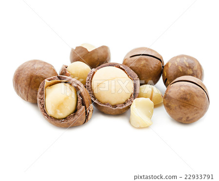 Macadamia nut on white. 22933791