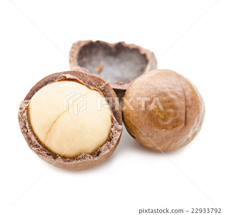 Shelled and unshelled macadamia nuts. Shelled and unshelled macadamia nuts. 22933792