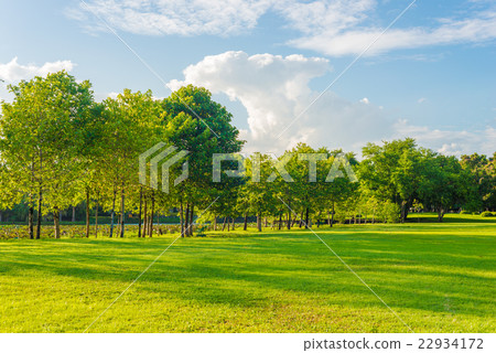 Green lawn in city park under sun beam light 22934172