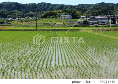 Country landscape · Iga city, Mie prefecture (June) Country landscape · Iga city, Mie prefecture (June) 22934210