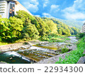 箱根湯本Hayakawa繡球花橋 22934300
