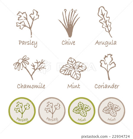 草藥插圖集 草藥插圖集 22934724