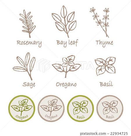 草藥插圖集 草藥插圖集 22934725