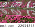 ShibaSakura 22934848