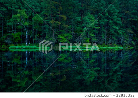 Shark pond (25) 22935352