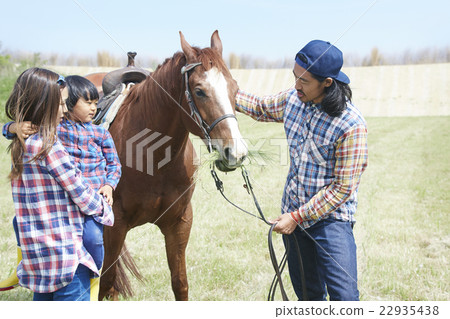 Parent and child horse 22935438