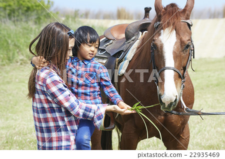 Parent and child horse Parent and child horse 22935469