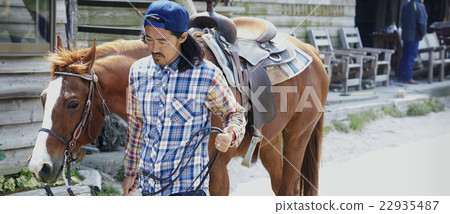 公馬 公馬 22935487