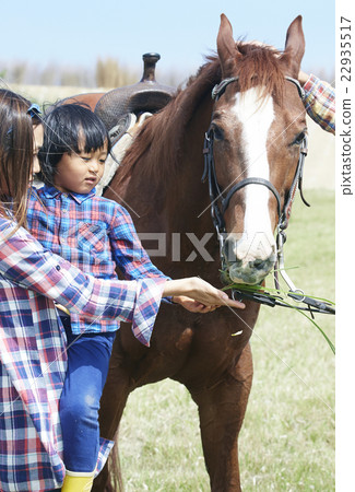 父母和小孩的馬 22935517