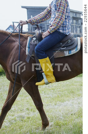 Male horse riding Male horse riding 22935644
