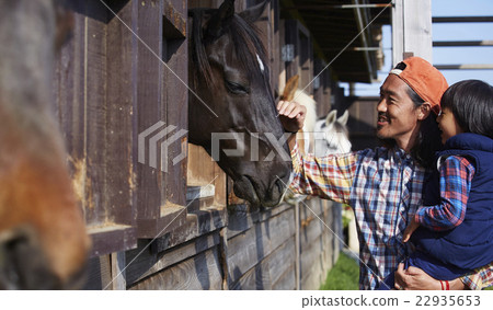 公馬飼養 公馬飼養 22935653