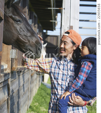 Male horse rearing Male horse rearing 22935658