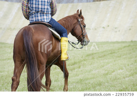 Male horse riding Male horse riding 22935759