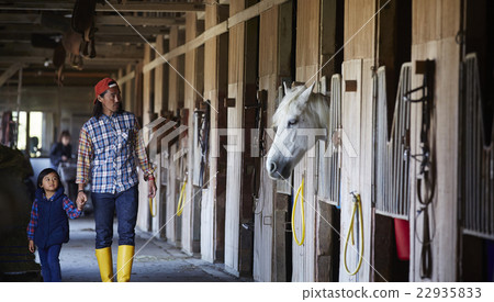 Parent-child ranch experience Parent-child ranch experience 22935833