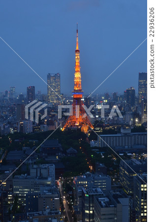 東京的夜景 東京的夜景 22936206