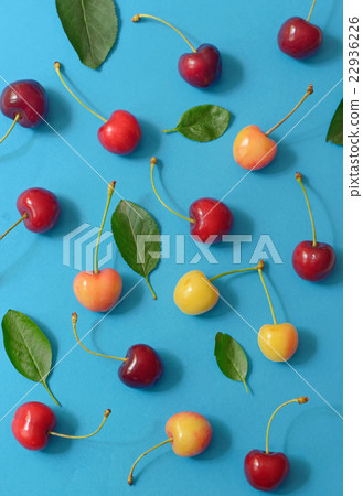 Abstract cherry isolated Abstract cherry isolated 22936226