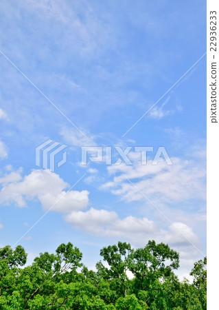 清除雨季,初夏天空複製空間 清除雨季,初夏天空複製空間 22936233