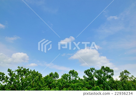 清除雨季,初夏天空複製空間 清除雨季,初夏天空複製空間 22936234