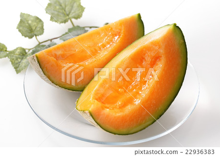 melon 22936383