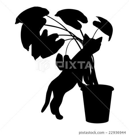 Vector silhouette cat paws rests on a pot. Vector silhouette cat paws rests on a pot. 22936944