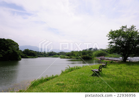 Scenery with early summer water 22936956