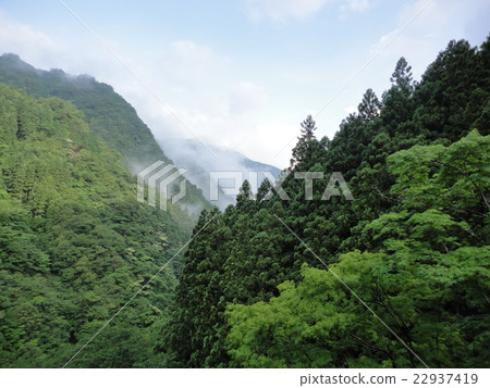 Magnificent wilderness 22937419