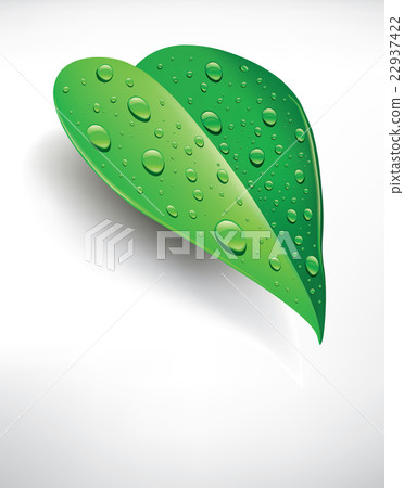 background green leaf with water droplets background green leaf with water droplets 22937422