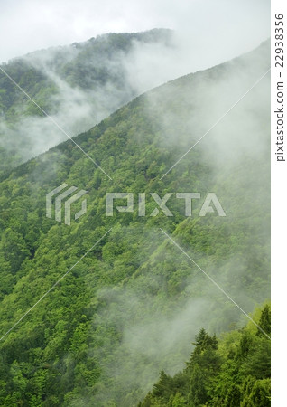 新綠色山與雲彩的清楚 22938356