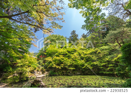 Early summer Tenguan Ikeizumi revolving garden Early summer Tenguan Ikeizumi revolving garden 22938525