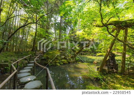 初夏Tenguan Ikeizumi旋轉花園 22938545