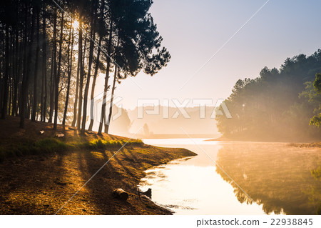 Pang Ung Forestry Plantations, North of Thailand 22938845