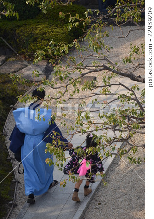 Kimono parents and children Kimono parents and children 22939209