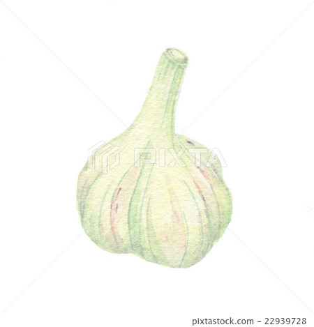 大蒜 22939728