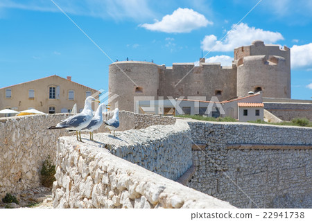 Castle Chateau d'If, near Marseille France. 22941738
