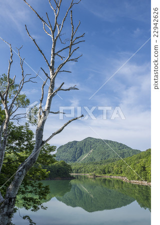 Budapesti在初夏 22942626