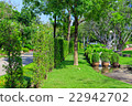Beautiful garden in the park 22942702