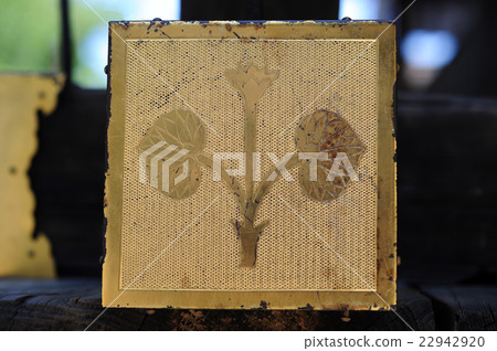 Matsuo Taisha的Futaba Ao-crest-1 22942920