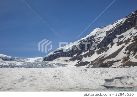 Canadian Columbia Great Icefield 22943530
