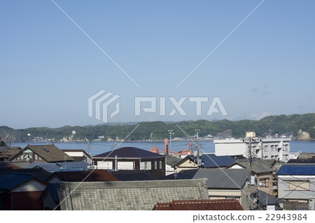 勝浦市5月 22943984