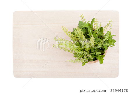 Top view part of holy basil pile on cutting board 22944178