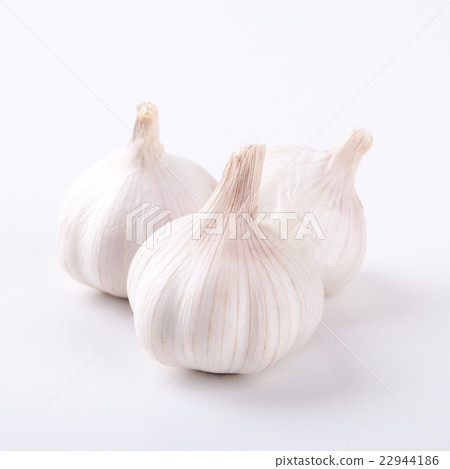 garlic on white background 22944186